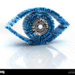 vision